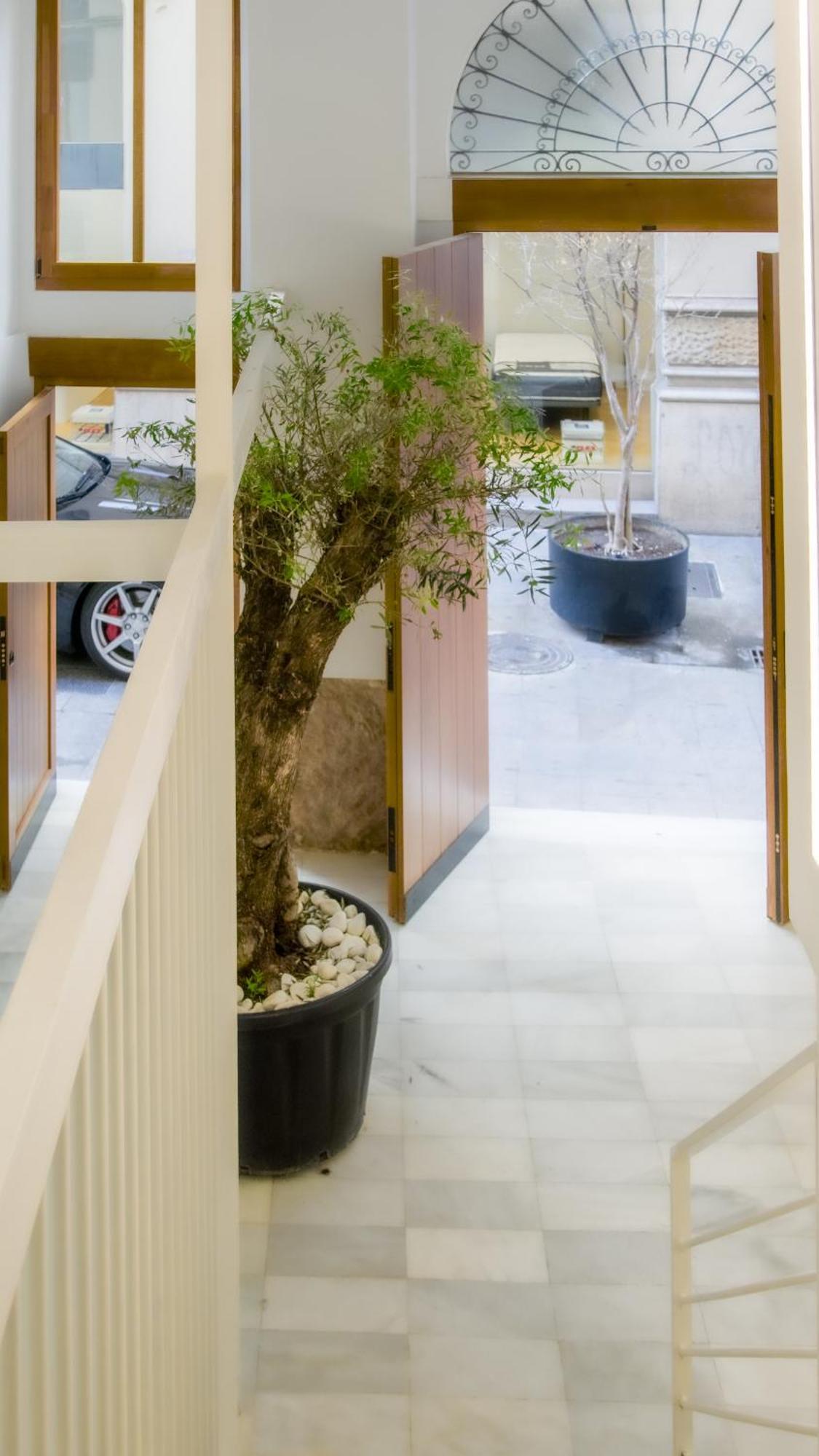 Catalina Suites Apartments Downtown Βαλένθια Εξωτερικό φωτογραφία