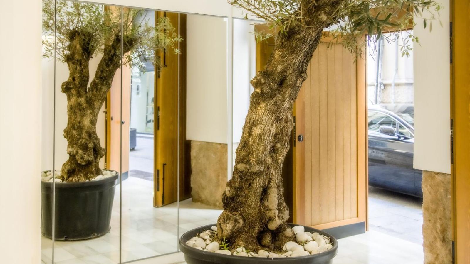 Catalina Suites Apartments Downtown Βαλένθια Εξωτερικό φωτογραφία